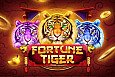 Fortune Tiger slot game